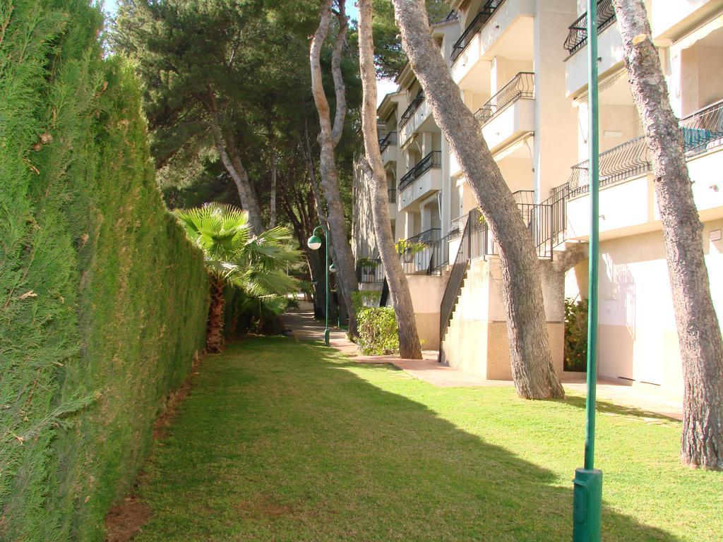 Playamar Altamar Apartments Alcossebre Værelse billede